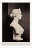 The Princess Royal by Roger Fenton