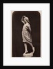 Sport by Roger Fenton