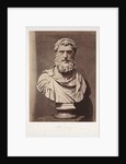 Ælius Caesar by Roger Fenton