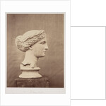 A Muse by Roger Fenton