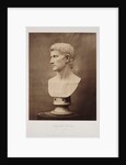 Augustus Caesar (Burke Collection) by Roger Fenton