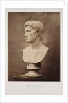 Augustus Caesar (Burke Collection) by Roger Fenton