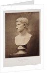 Augustus Caesar (Burke Collection) by Roger Fenton