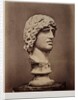 Head of Barbarian Captive by Roger Fenton