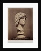 Head of Barbarian Captive by Roger Fenton