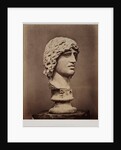 Head of Barbarian Captive by Roger Fenton