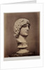 Head of Barbarian Captive by Roger Fenton