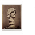 Head of Barbarian Captive by Roger Fenton