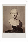 Tiberius (Burke Collection) by Roger Fenton