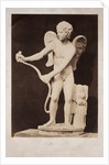 Cupid by Roger Fenton