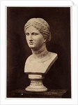Uncertain Goddess or Heroine by Roger Fenton