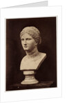 Uncertain Goddess or Heroine by Roger Fenton