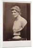 Greek Hero by Roger Fenton