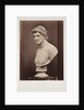 Greek Hero by Roger Fenton