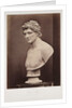 Greek Hero by Roger Fenton