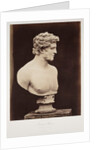 Greek Hero by Roger Fenton