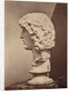 Barbarian Captive by Roger Fenton
