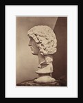Barbarian Captive by Roger Fenton