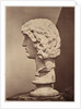 Barbarian Captive by Roger Fenton