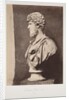 Lucius Verus by Roger Fenton
