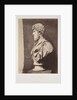 Lucius Verus by Roger Fenton