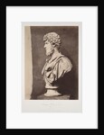 Lucius Verus by Roger Fenton