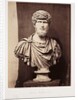 Lucius Verus by Roger Fenton