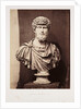 Lucius Verus by Roger Fenton