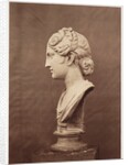 Diana by Roger Fenton