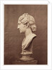 Diana by Roger Fenton