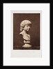 Portrait of a Roman Boy by Roger Fenton