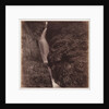 Aira Force by Roger Fenton