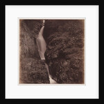 Aira Force by Roger Fenton