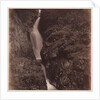 Aira Force by Roger Fenton