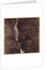 Aira Force by Roger Fenton