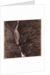 Aira Force by Roger Fenton