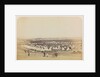 Camp at Sebastopol by Roger Fenton