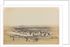 Camp at Sebastopol by Roger Fenton