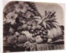 Fruit and flowers by Roger Fenton