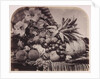 Fruit and flowers by Roger Fenton