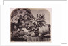 Fruit and flowers by Roger Fenton