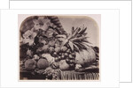 Fruit and flowers by Roger Fenton