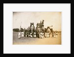 War elephants in chain armour by Samuel Bourne