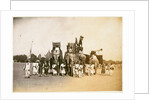 War elephants in chain armour by Samuel Bourne