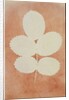 Five Leaves on a Stem by William Henry Fox Talbot
