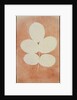 Five Leaves on a Stem by William Henry Fox Talbot