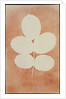 Five Leaves on a Stem by William Henry Fox Talbot