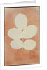 Five Leaves on a Stem by William Henry Fox Talbot