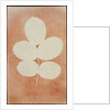 Five Leaves on a Stem by William Henry Fox Talbot