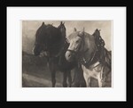 Horses by Alfred Stieglitz